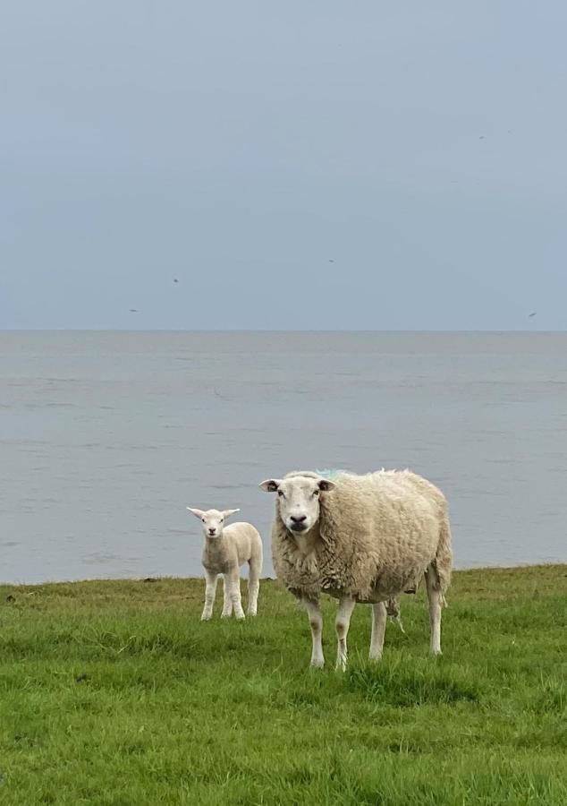 De Vier Winden Villa Hindeloopen Eksteriør bilde